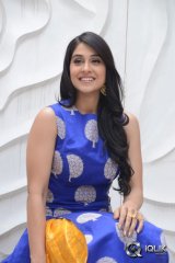 Regina Cassandra at Shaurya Movie Release Press Meet